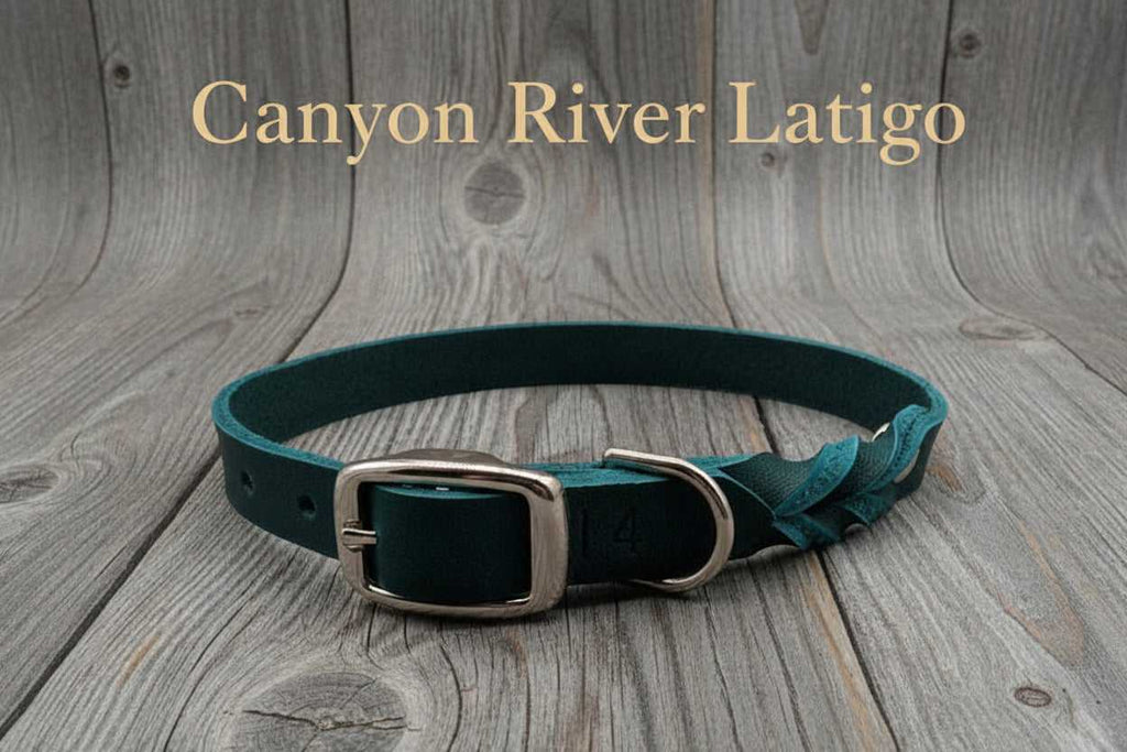 Leather Dog Collar with Buckle in Canyon River Latigo color, made from durable full-grain leather with metal buckle and D-ring for leash attachment.