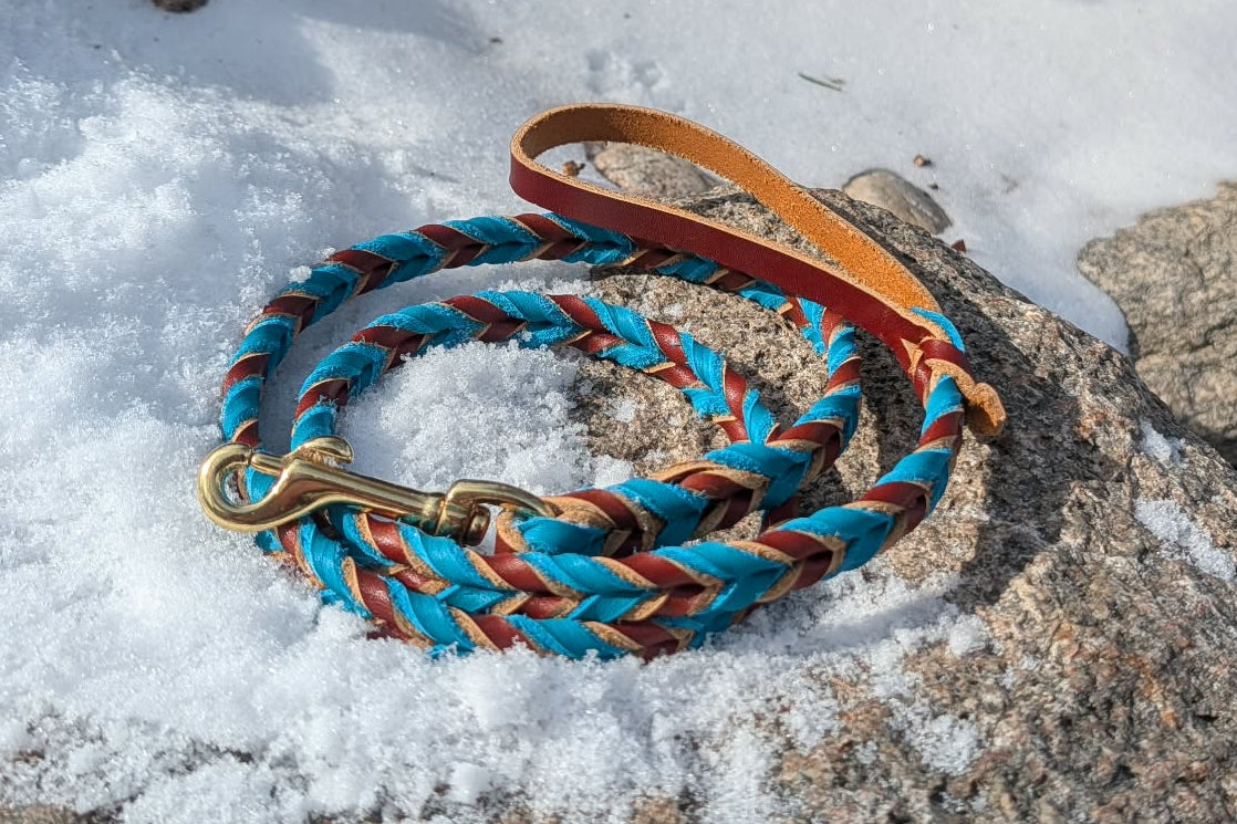Clearance Leashes