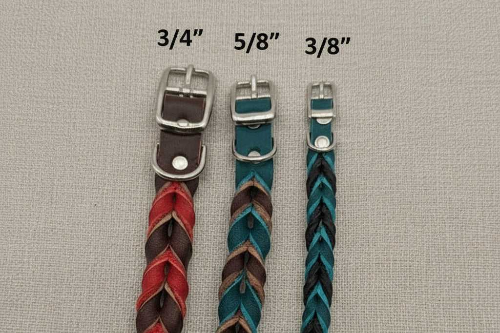 Braided Leather Buckle Collar in three widths: 3/4 inch red-brown, 5/8 inch teal-brown, and 3/8 inch teal-black. Premium full-grain leather with metal buckles.