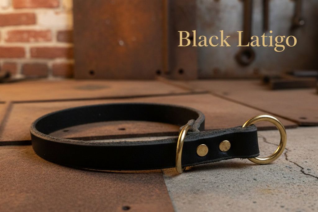 Black Latigo leather slip style dog collar with gold hardware