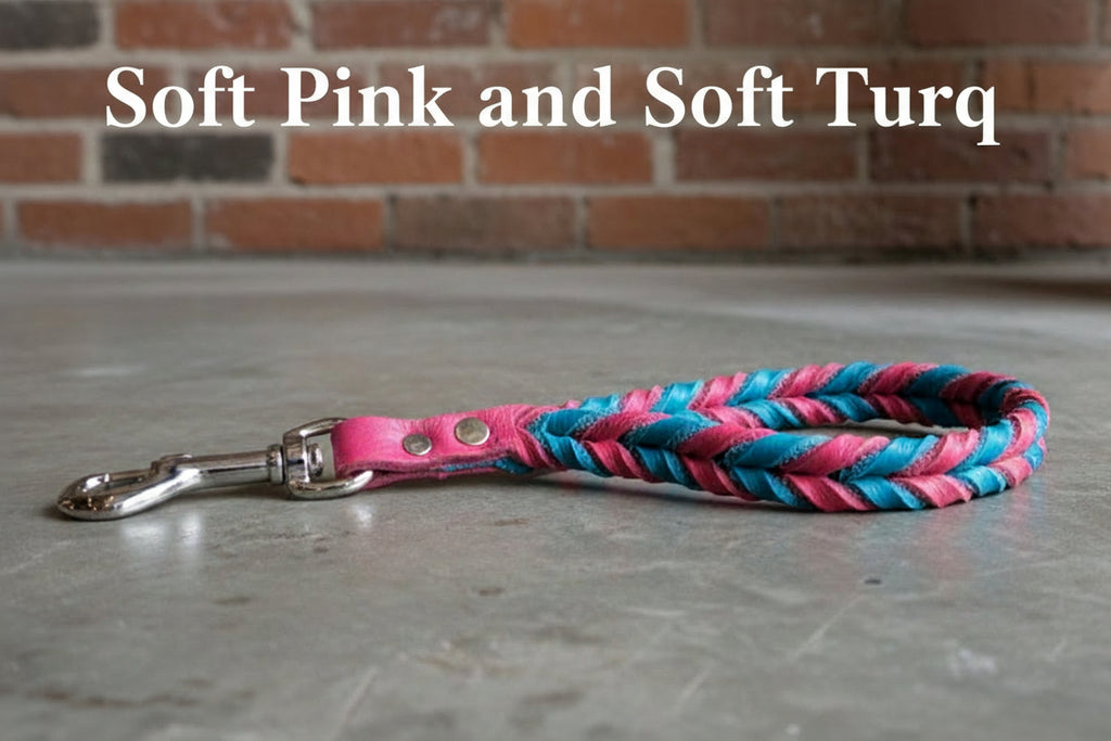 Soft Hot Pink and Turquoise braided traffic handle